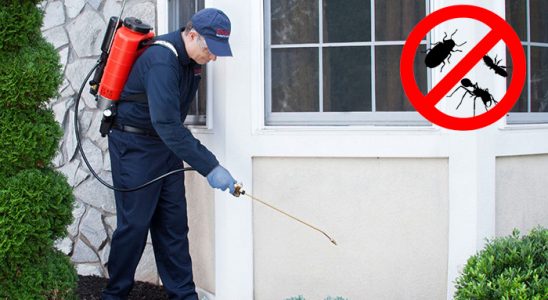 Örnekköy Bit İlaçlama böcek ilaçlama ve haşere kontrolü — ilaclama-tr.com